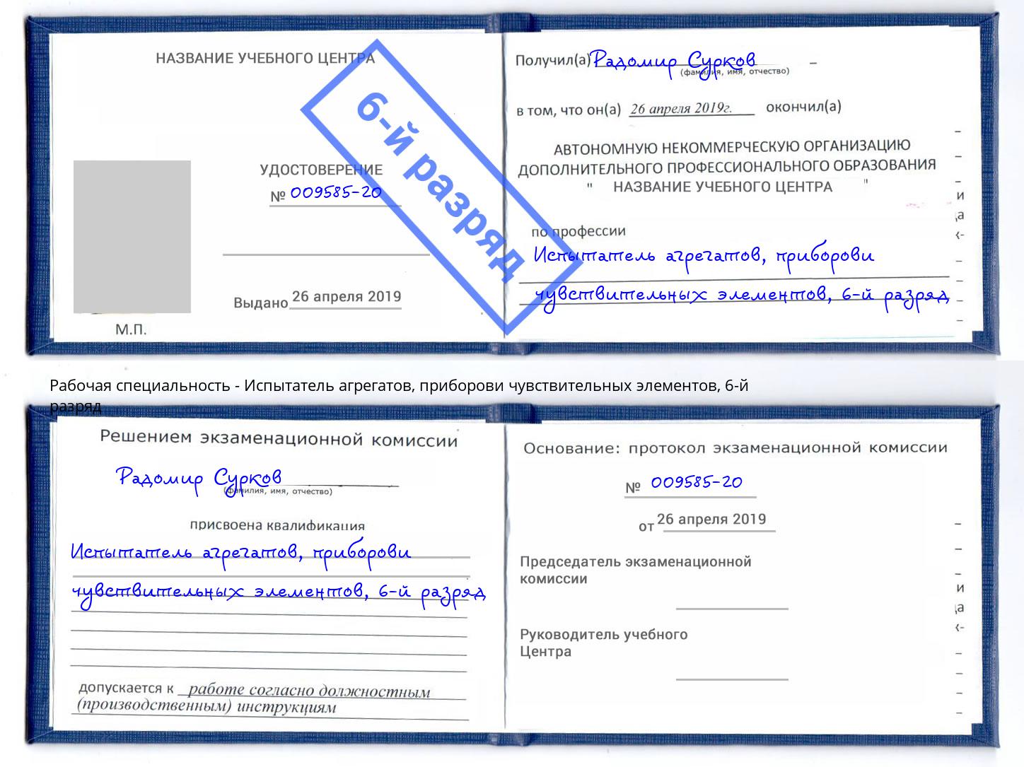 корочка 6-й разряд Испытатель агрегатов, приборови чувствительных элементов Дзержинский