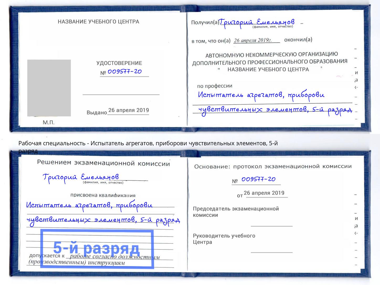 корочка 5-й разряд Испытатель агрегатов, приборови чувствительных элементов Дзержинский